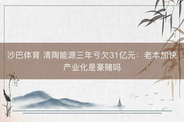 沙巴体育 清陶能源三年亏欠31亿元：老本加快产业化是豪赌吗