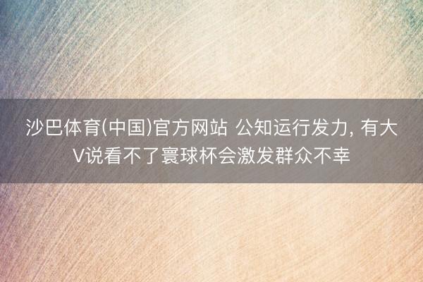 沙巴体育(中国)官方网站 公知运行发力， 有大V说看不了寰球杯会激发群众不幸