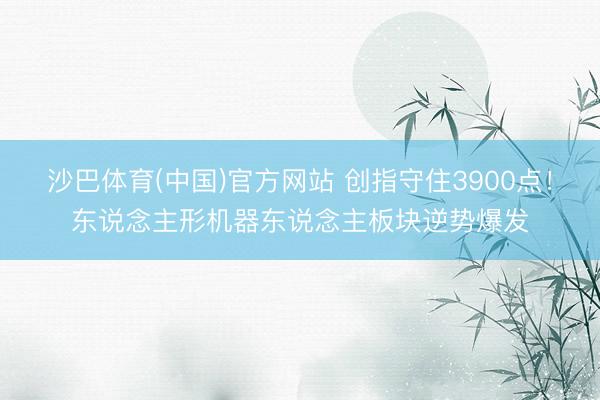 沙巴体育(中国)官方网站 创指守住3900点！东说念主形机器东说念主板块逆势爆发