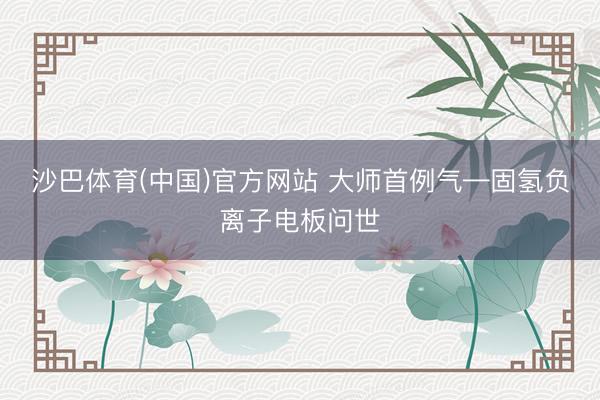 沙巴体育(中国)官方网站 大师首例气—固氢负离子电板问世