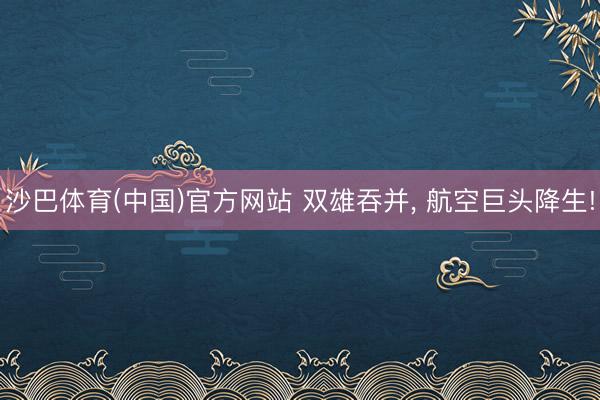 沙巴体育(中国)官方网站 双雄吞并， 航空巨头降生!