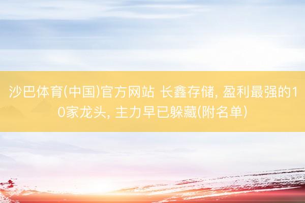 沙巴体育(中国)官方网站 长鑫存储， 盈利最强的10家龙头， 主力早已躲藏(附名单)