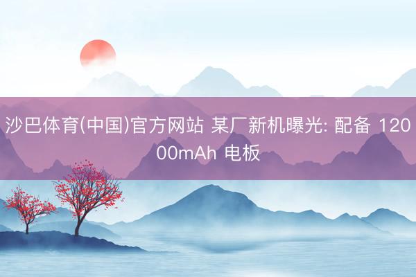 沙巴体育(中国)官方网站 某厂新机曝光: 配备 12000mAh 电板