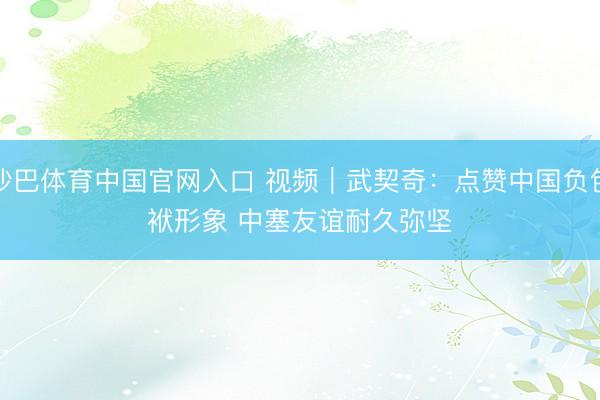 沙巴体育中国官网入口 视频｜武契奇：点赞中国负包袱形象 中塞友谊耐久弥坚