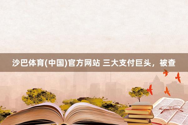 沙巴体育(中国)官方网站 三大支付巨头，被查